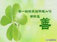 丹东市振兴区派特生物皮肤病研究所