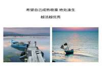 丹东市振兴区派特生物皮肤病研究所