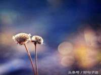 丹东市振兴区派特生物皮肤病研究所