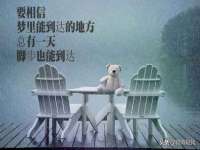 丹东市振兴区派特生物皮肤病研究所