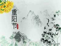 丹东市振兴区派特生物皮肤病研究所