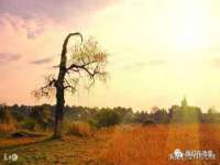 丹东市振兴区派特生物皮肤病研究所