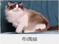 丹东市振兴区派特生物皮肤病研究所