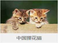 丹东市振兴区派特生物皮肤病研究所