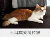 丹东市振兴区派特生物皮肤病研究所