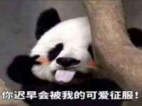 丹东市振兴区派特生物皮肤病研究所