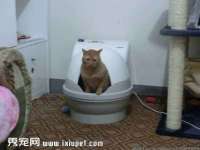 丹东市振兴区派特生物皮肤病研究所