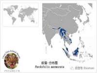 丹东市振兴区派特生物皮肤病研究所
