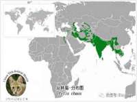 丹东市振兴区派特生物皮肤病研究所
