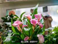 丹东市振兴区派特生物皮肤病研究所
