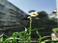 丹东市振兴区派特生物皮肤病研究所