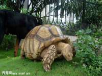 丹东市振兴区派特生物皮肤病研究所