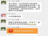 丹东市振兴区派特生物皮肤病研究所