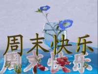 丹东市振兴区派特生物皮肤病研究所