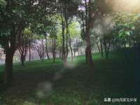 丹东市振兴区派特生物皮肤病研究所