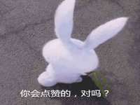 丹东市振兴区派特生物皮肤病研究所