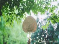 丹东市振兴区派特生物皮肤病研究所