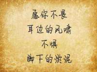 丹东市振兴区派特生物皮肤病研究所