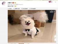 丹东市振兴区派特生物皮肤病研究所