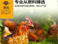 丹东市振兴区派特生物皮肤病研究所