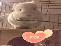 丹东市振兴区派特生物皮肤病研究所