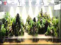丹东市振兴区派特生物皮肤病研究所
