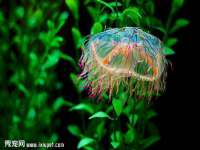 丹东市振兴区派特生物皮肤病研究所