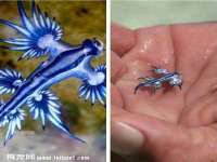 丹东市振兴区派特生物皮肤病研究所