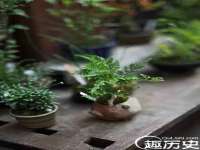 丹东市振兴区派特生物皮肤病研究所