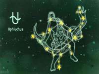 丹东市振兴区派特生物皮肤病研究所