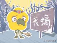 丹东市振兴区派特生物皮肤病研究所
