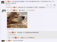 丹东市振兴区派特生物皮肤病研究所