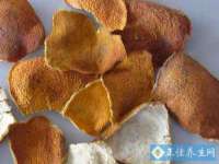 丹东市振兴区派特生物皮肤病研究所