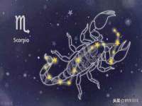 丹东市振兴区派特生物皮肤病研究所