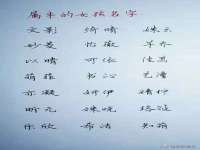 丹东市振兴区派特生物皮肤病研究所