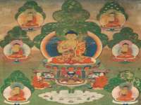 丹东市振兴区派特生物皮肤病研究所